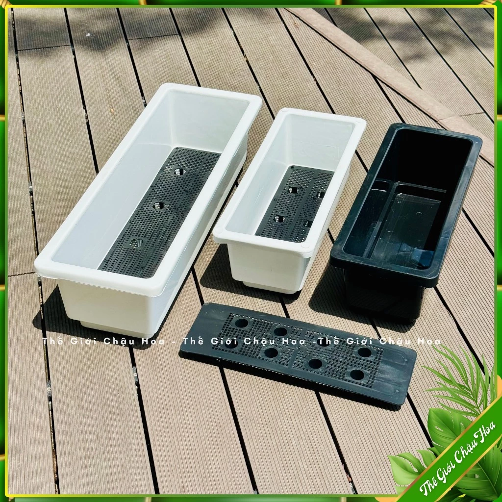 Chậu nhựa trồng cây chữ nhật